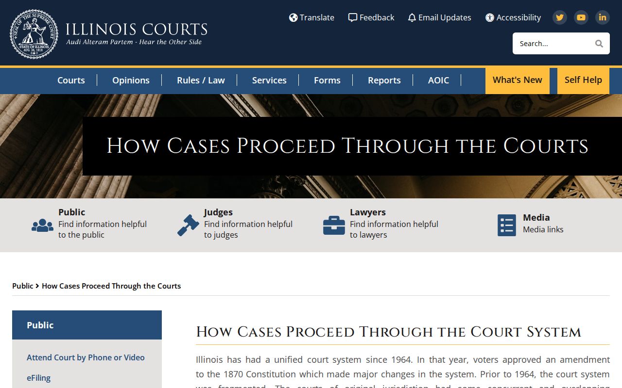 Toledo criminal records unified Illinois court process